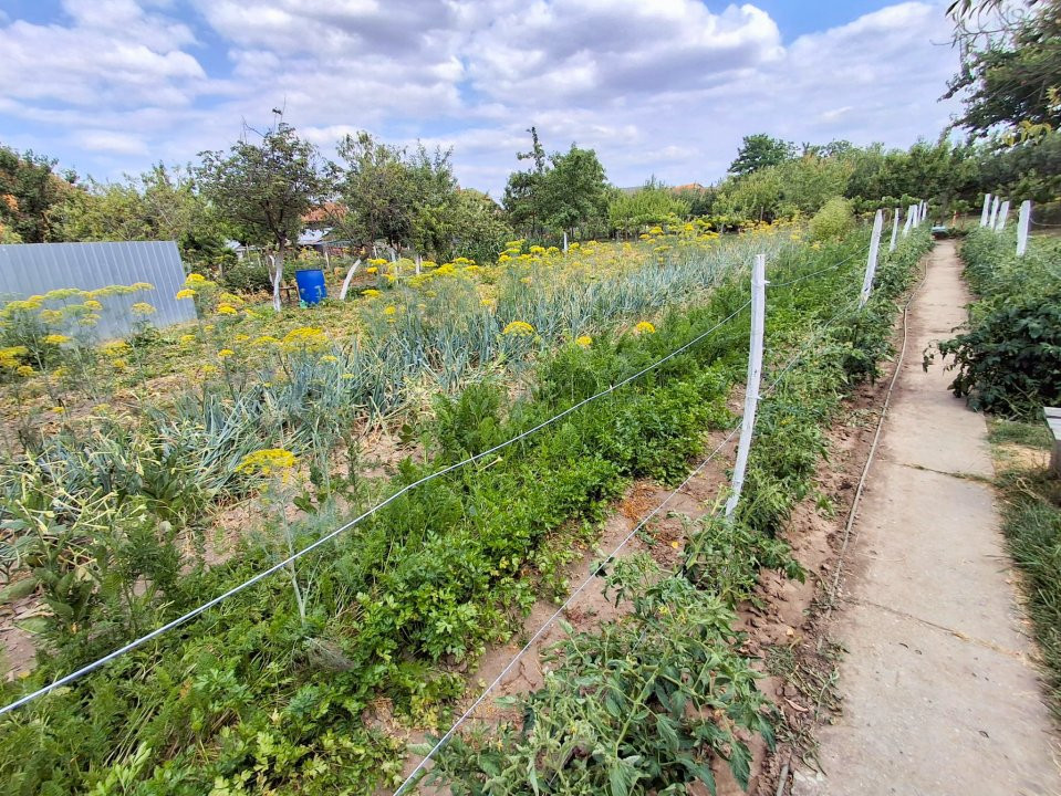 COMISION 0% - Casa individuala cu teren 1259 mp - Recas 20, foxfort.ro