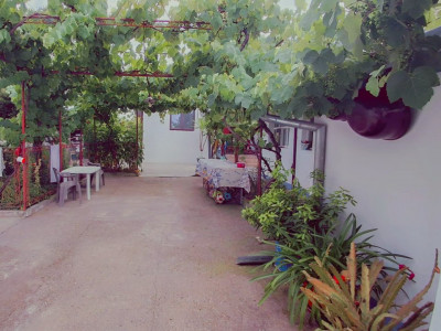 COMISION 0% - Casa individuala cu teren 1259 mp - Recas imagine mica 9, foxfort.ro