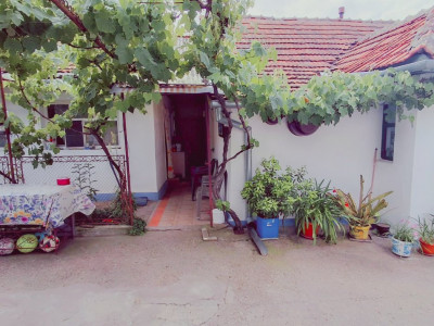 COMISION 0% - Casa individuala cu teren 1259 mp - Recas imagine mica 10, foxfort.ro