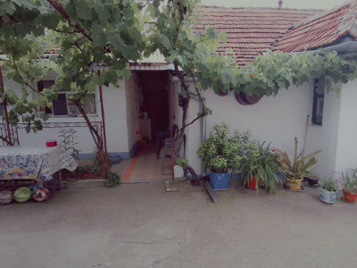 COMISION 0% - Casa individuala cu teren 1259 mp - Recas imagine mica 17, foxfort.ro