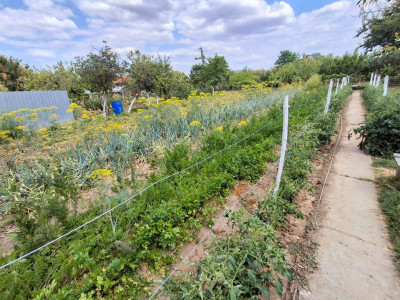 COMISION 0% - Casa individuala cu teren 1259 mp - Recas imagine mica 20, foxfort.ro