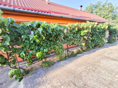 COMISION 0% - Casa individuala 5 camere cu teren 1348 mp - Giarmata imagine mica 2, foxfort.ro