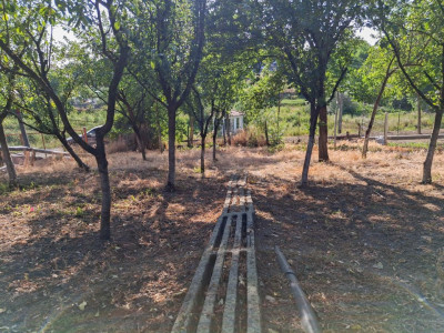 COMISION 0% - Casa individuala 5 camere cu teren 1348 mp - Giarmata imagine mica 34, foxfort.ro