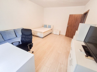 Apartament cu o camera de inchiriat in Timisoara, zona Medicina imagine mica 2, foxfort.ro