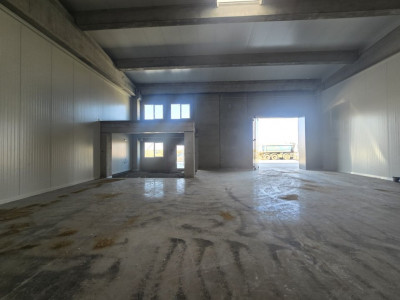 COMISION 0% Spatiu de depozitare 524 mp - Sanandrei imagine mica 5, foxfort.ro