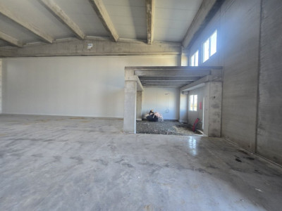 COMISION 0% Spatiu de depozitare 524 mp - Sanandrei imagine mica 6, foxfort.ro