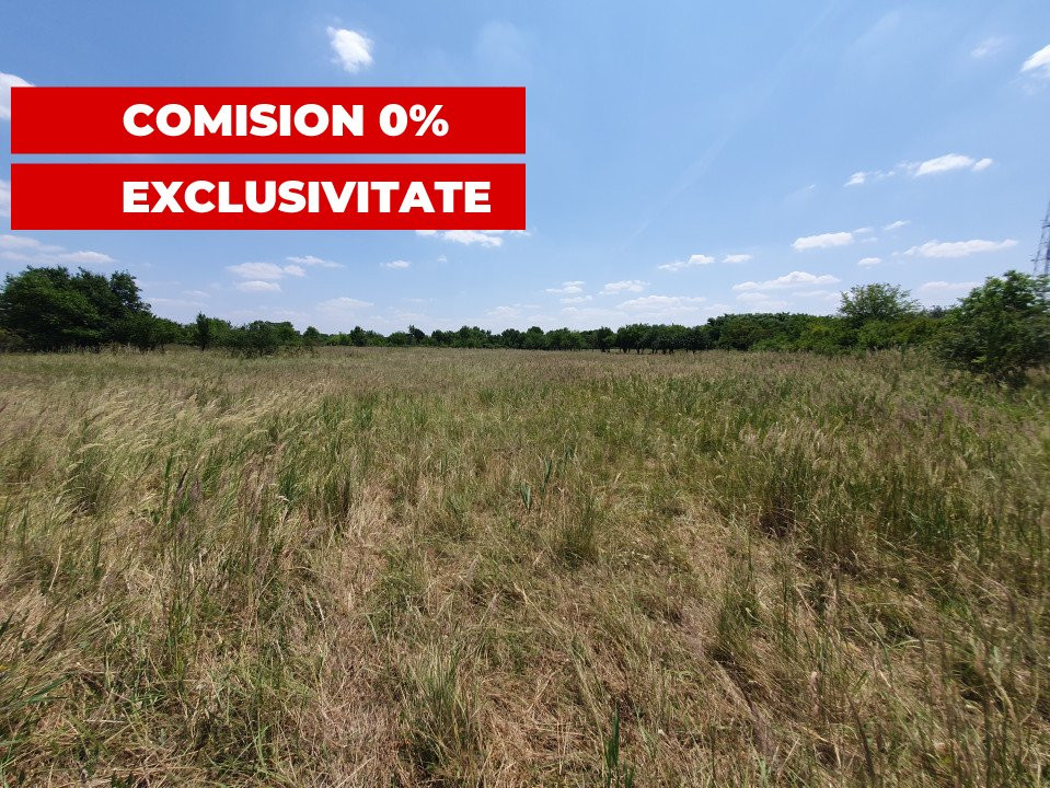 COMISION 0% Teren de vanzare intravilan de 5000 mp in zona Sagului 8, foxfort.ro