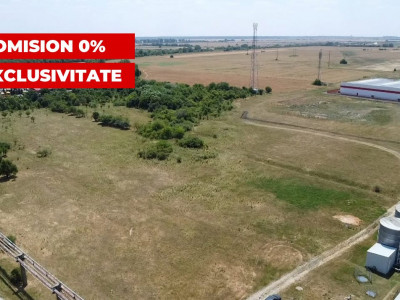 COMISION 0% Teren de vanzare intravilan de 5000 mp in zona Sagului imagine mica 4, foxfort.ro