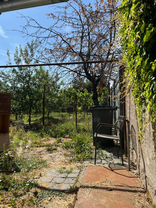 COMISION 0% Casa individuala cu 6 camere de vanzare, zona Lipovei 16, foxfort.ro