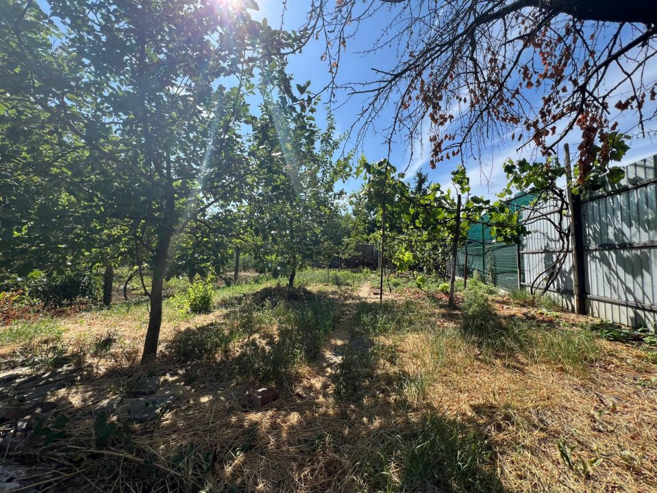 COMISION 0% Casa individuala cu 6 camere de vanzare, zona Lipovei 18, foxfort.ro