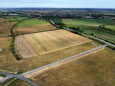 COMISION 0% Teren industrial cu utilitati, acces TIR - Mosnita imagine mica 8, foxfort.ro