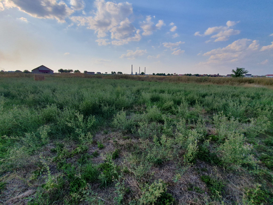 COMISION 0% Teren de 622 mp intravilan pretabil casa, zona Chisoda 8, foxfort.ro