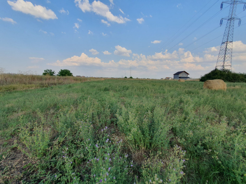 COMISION 0% Teren de 622 mp intravilan pretabil casa, zona Chisoda 10, foxfort.ro