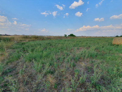 COMISION 0% Teren de 622 mp intravilan pretabil casa, zona Chisoda imagine mica 7, foxfort.ro