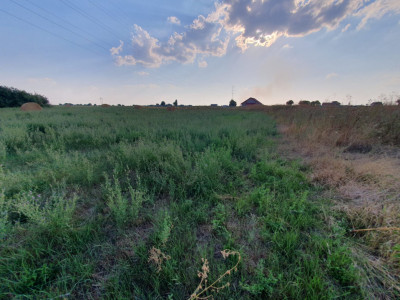 COMISION 0% Teren de 622 mp intravilan pretabil casa, zona Chisoda imagine mica 9, foxfort.ro