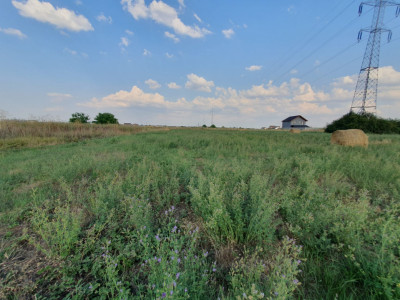 COMISION 0% Teren de 622 mp intravilan pretabil casa, zona Chisoda imagine mica 10, foxfort.ro