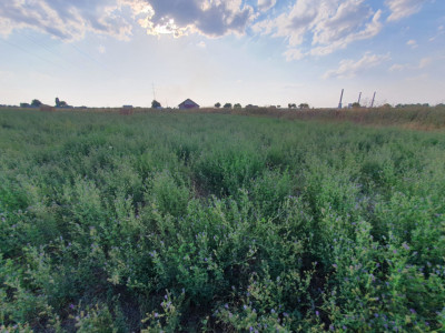 COMISION 0% Teren de 622 mp intravilan pretabil casa, zona Chisoda imagine mica 12, foxfort.ro