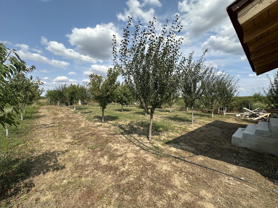 COMISION 0% Casa individuala cu 3 camere si teren de 752 mp -  Mosnita 8, foxfort.ro