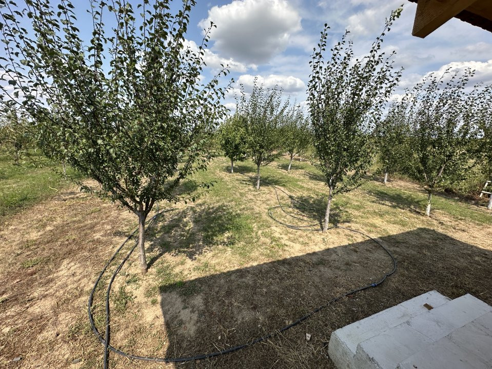 COMISION 0% Casa individuala cu 3 camere si teren de 752 mp -  Mosnita 9, foxfort.ro