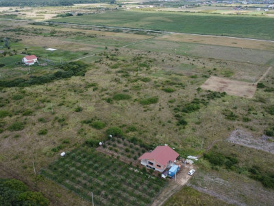 COMISION 0% Casa individuala cu 3 camere si teren de 752 mp -  Mosnita imagine mica 4, foxfort.ro