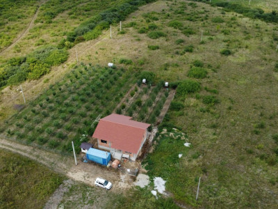 COMISION 0% Casa individuala cu 3 camere si teren de 752 mp -  Mosnita imagine mica 7, foxfort.ro