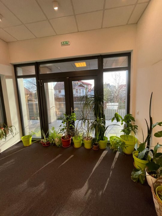 Spatiu de birouri 530 mp de inchiriat - C8616 9, foxfort.ro