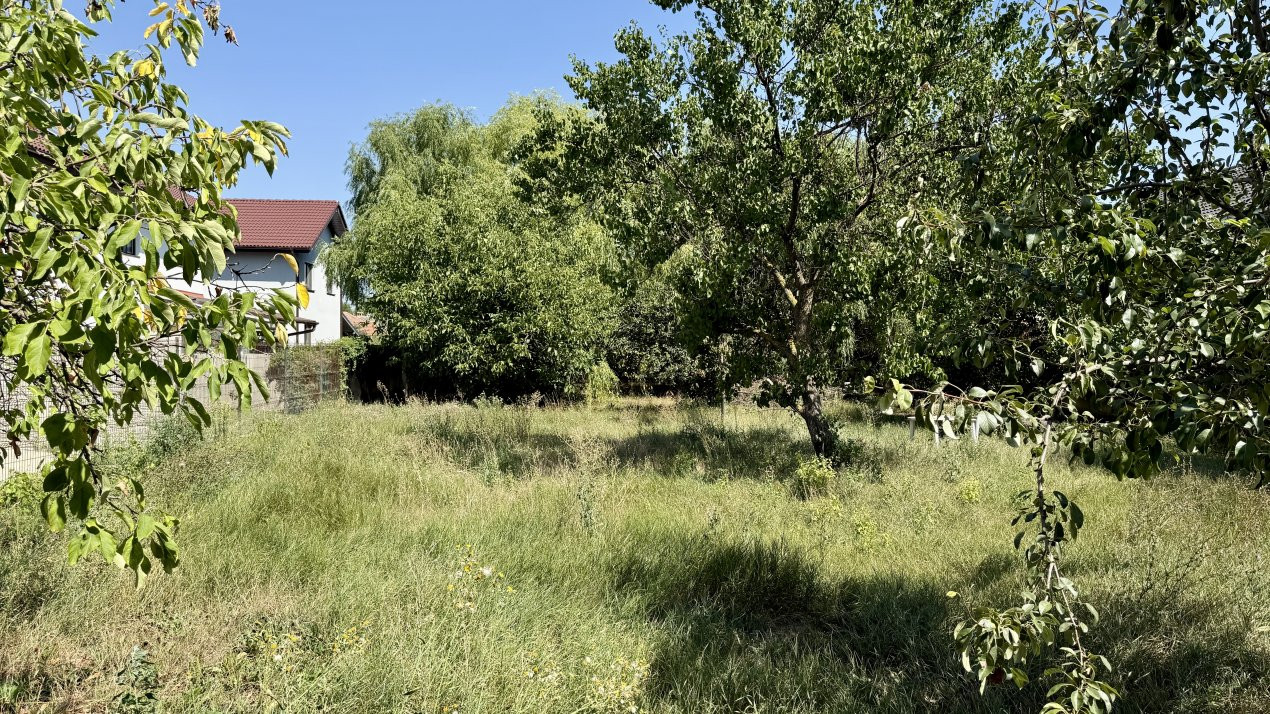 Casa individuala cu 4 camere de 141 mp si teren de 1500 mp, zona Sanandrei 26, foxfort.ro