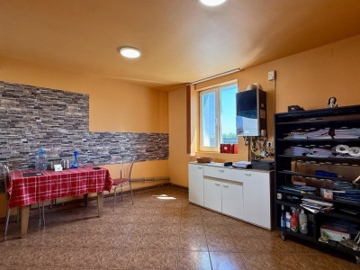 Casa individuala cu 4 camere de 141 mp si teren de 1500 mp, zona Sanandrei imagine mica 7, foxfort.ro