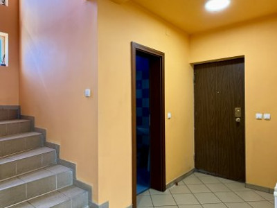 Casa individuala cu 4 camere de 141 mp si teren de 1500 mp, zona Sanandrei imagine mica 20, foxfort.ro