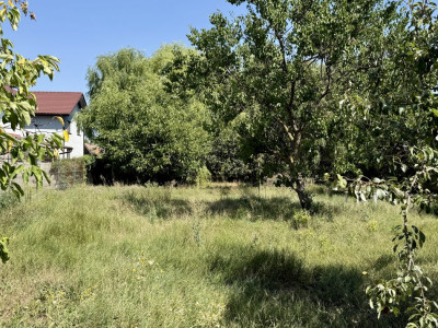 Casa individuala cu 4 camere de 141 mp si teren de 1500 mp, zona Sanandrei imagine mica 26, foxfort.ro