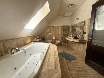 COMISION 0% Casa individuala exclusivista cu 7 camere si piscina in Dumbravita imagine mica 15, foxfort.ro