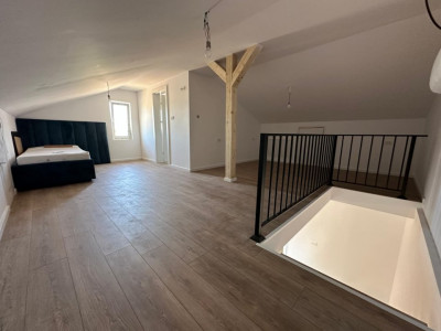 Duplex individual in Mosnita cu toate utilitatile si 360mp teren imagine mica 9, foxfort.ro