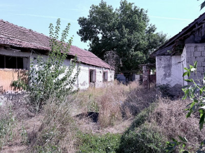 COMISION 0% Teren intravilan de vanzare la asflat, Timisoara imagine mica 4, foxfort.ro