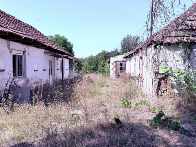COMISION 0% Teren intravilan de vanzare la asflat, Timisoara imagine mica 7, foxfort.ro