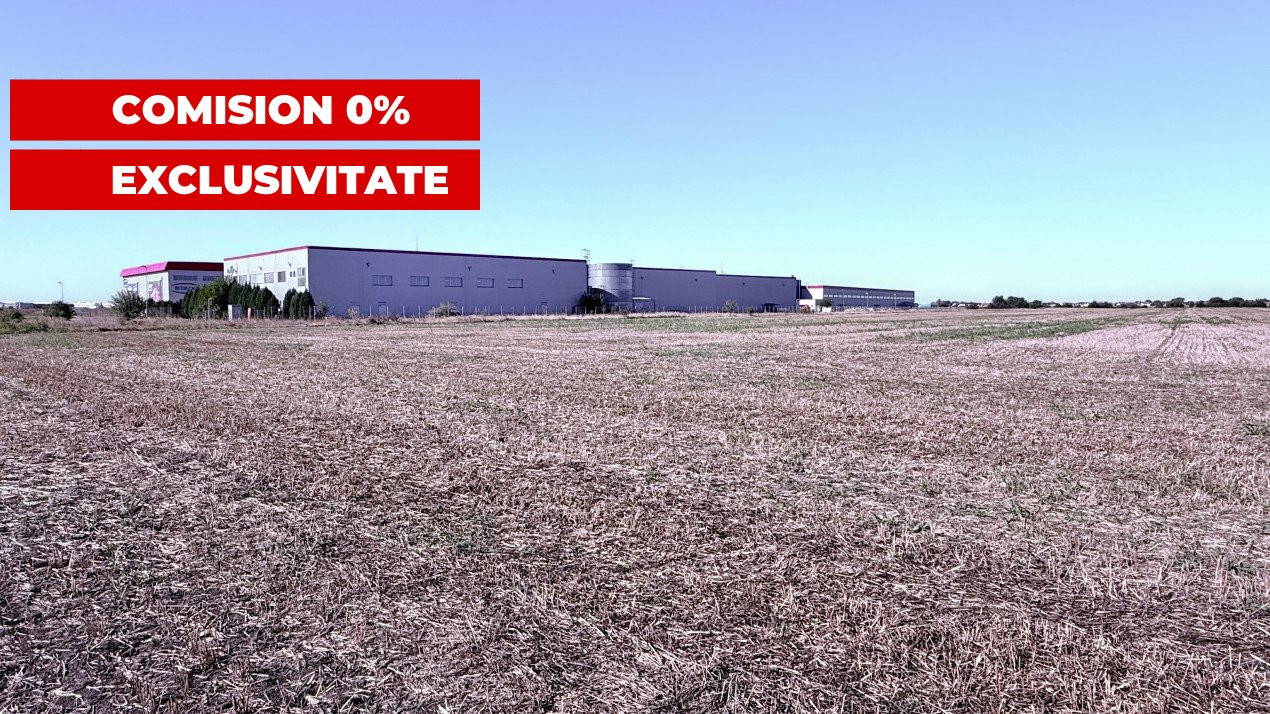 COMISION 0% Teren extravilan 40.000 mp - zona Sanandrei 1, foxfort.ro