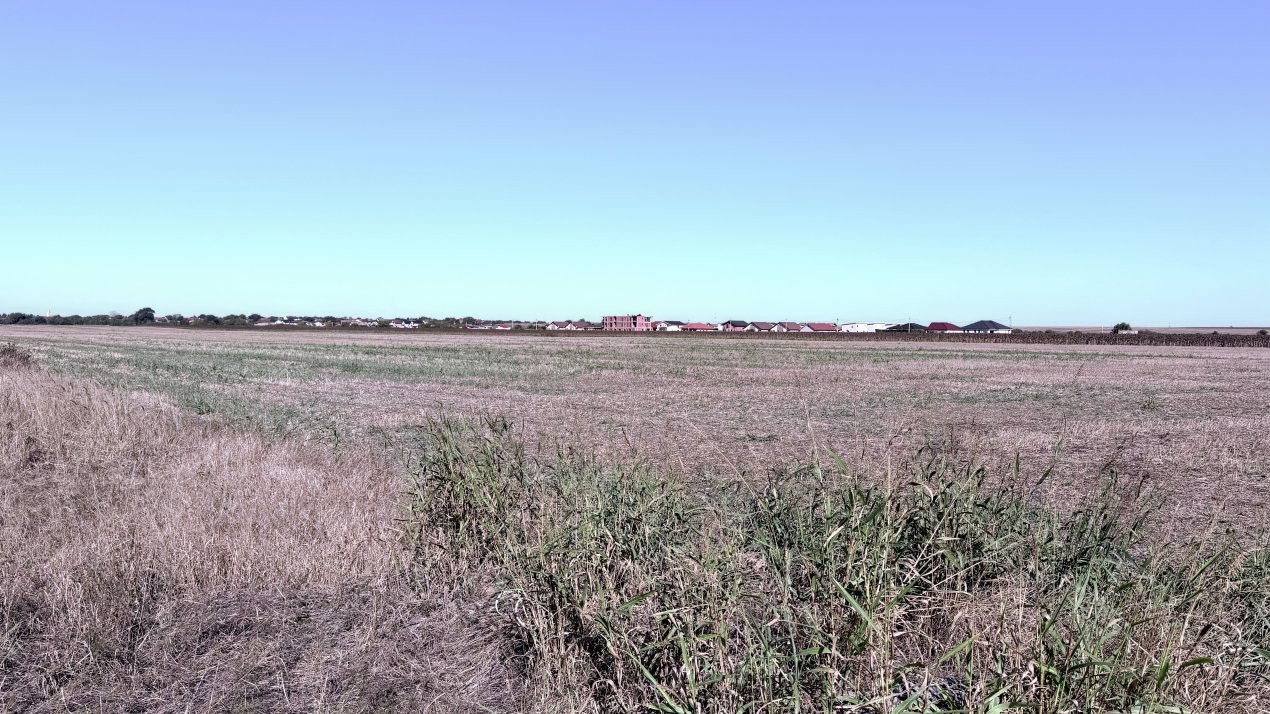 COMISION 0% Teren extravilan 40.000 mp - zona Sanandrei 2, foxfort.ro