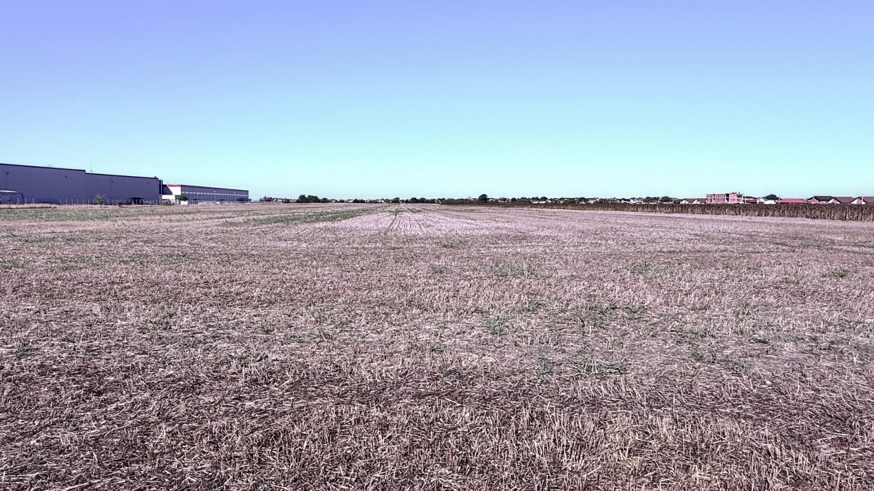 COMISION 0% Teren extravilan 40.000 mp - zona Sanandrei 3, foxfort.ro