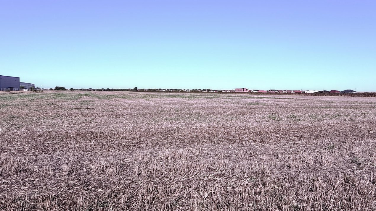 COMISION 0% Teren extravilan 40.000 mp - zona Sanandrei 4, foxfort.ro