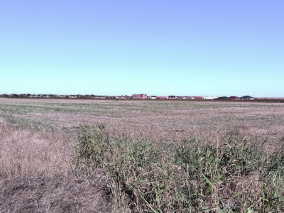 COMISION 0% Teren extravilan 40.000 mp - zona Sanandrei imagine mica 2, foxfort.ro