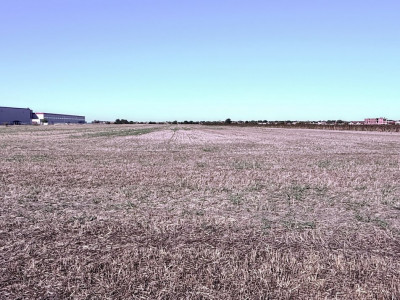 COMISION 0% Teren extravilan 40.000 mp - zona Sanandrei imagine mica 3, foxfort.ro