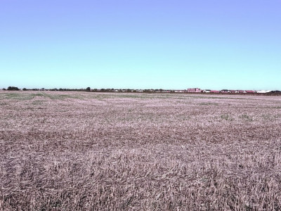 COMISION 0% Teren extravilan 40.000 mp - zona Sanandrei imagine mica 4, foxfort.ro