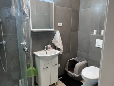 COMISION 0% Apartament cu 3 camere, etaj 1, 2 locuri de parcare, zona Buziasului imagine mica 9, foxfort.ro