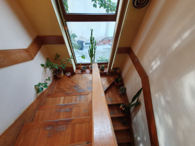 COMISION 0% Duplex cu 6 camere de 240 mp utili - zona Brancoveanu imagine mica 19, foxfort.ro