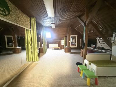 COMISION 0% 2 Cladiri medicale, una amenajata deja, teren 440 mp, Mosnita Noua imagine mica 19, foxfort.ro