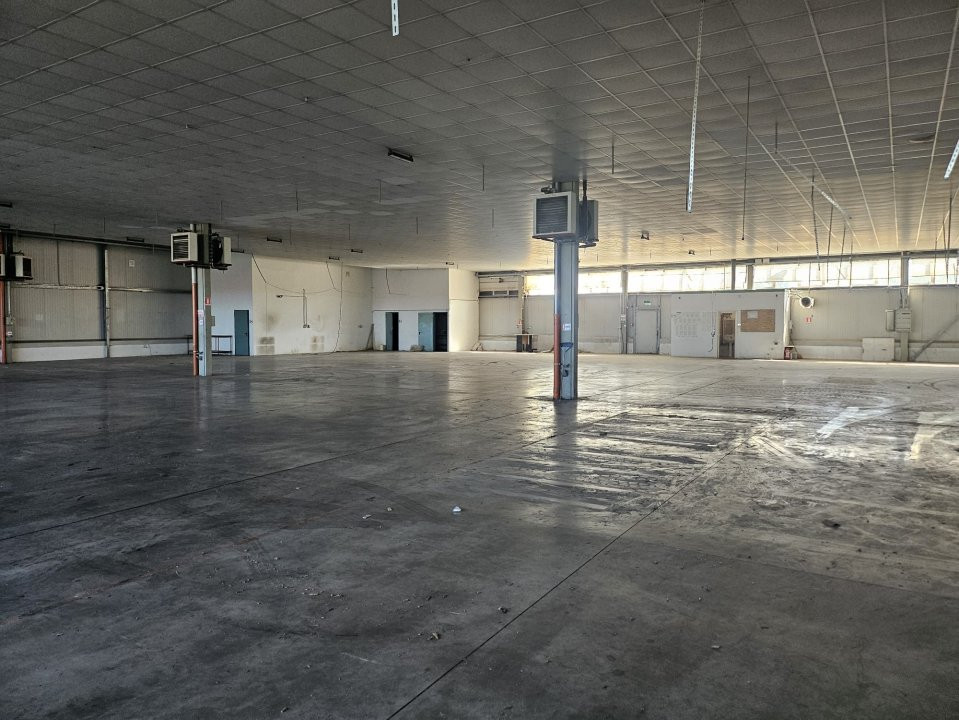 COMISION 0% Spatiu depozitare 1400 mp de inchiriat, zona Calea Lugojului 3, foxfort.ro