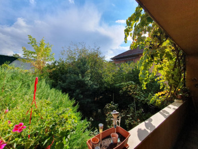 COMISION 0% Casa cu 6 camere 240 mp utili - zona Brancoveanu imagine mica 6, foxfort.ro