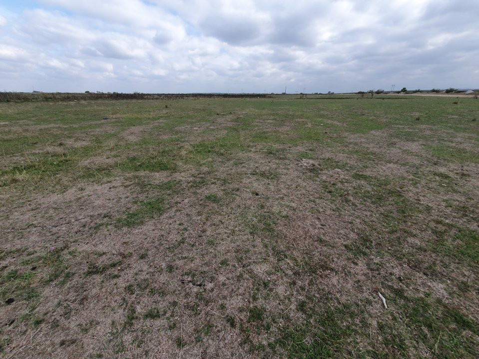 COMISION 0% Teren intravilan 1255 mp cu Puz aprobat, zona Giroc 7, foxfort.ro