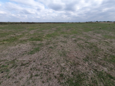 COMISION 0% Teren intravilan 1255 mp cu Puz aprobat, zona Giroc imagine mica 7, foxfort.ro