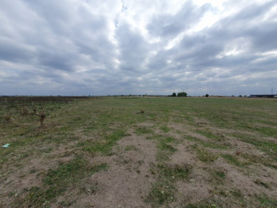 COMISION 0% Teren intravilan 1255 mp cu Puz aprobat, zona Giroc imagine mica 9, foxfort.ro