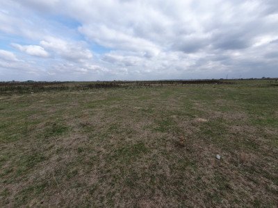 COMISION 0% Teren intravilan 1255 mp cu Puz aprobat, zona Giroc imagine mica 10, foxfort.ro